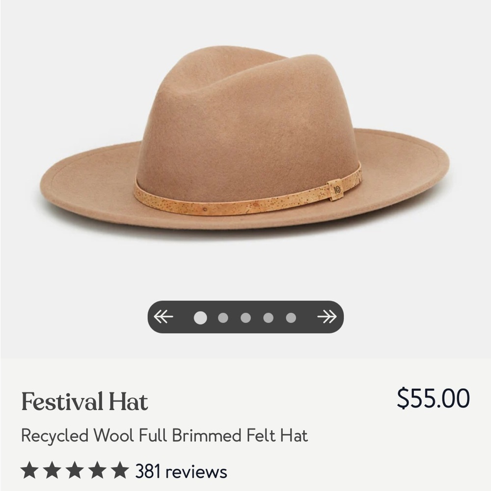 Tentree Tan Wool Festival Hat NWOT